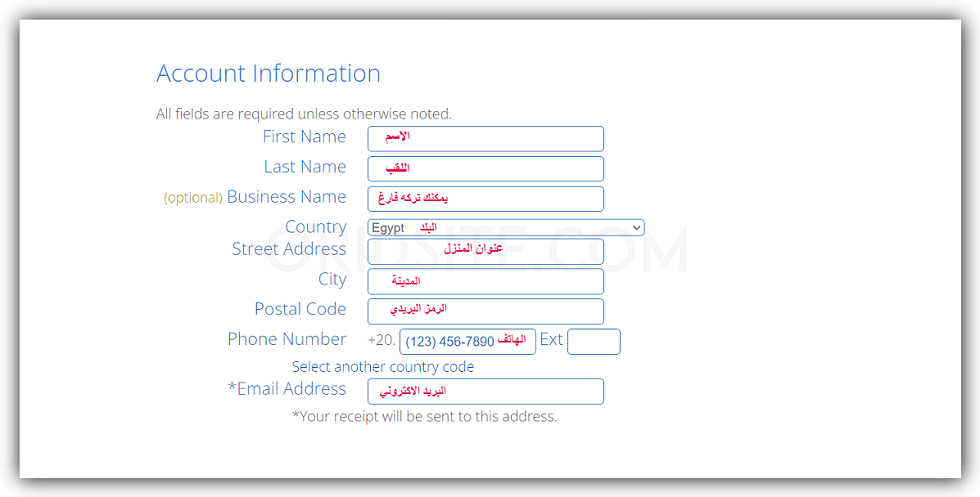 كتابة المعلومات الشخصية لإنشاء حساب bluehost