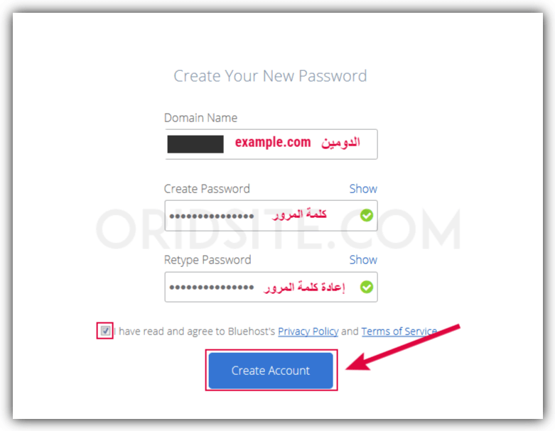 انشاء كلمة مرور حساب موقع bluehost