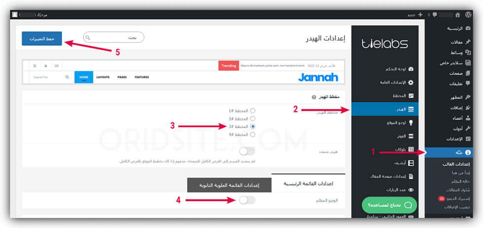 ضبط إعدادات القالب