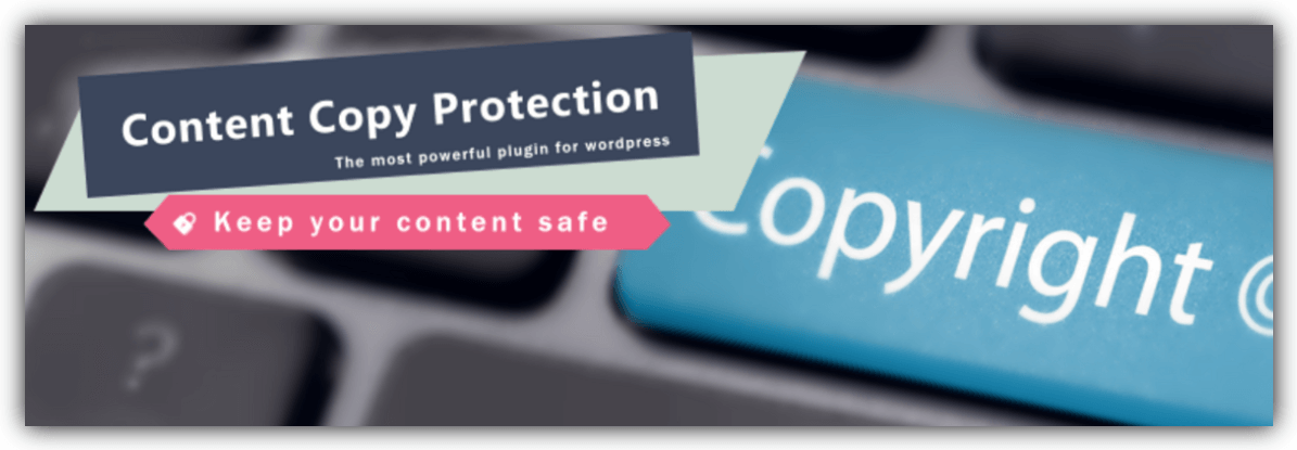 اضافة WP Content Copy Protection & No Right Click
